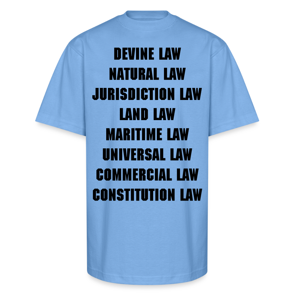 Unisex Oversized Heavyweight T-Shirt - sky blue