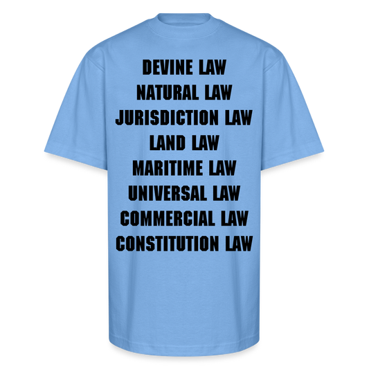 Unisex Oversized Heavyweight T-Shirt - sky blue